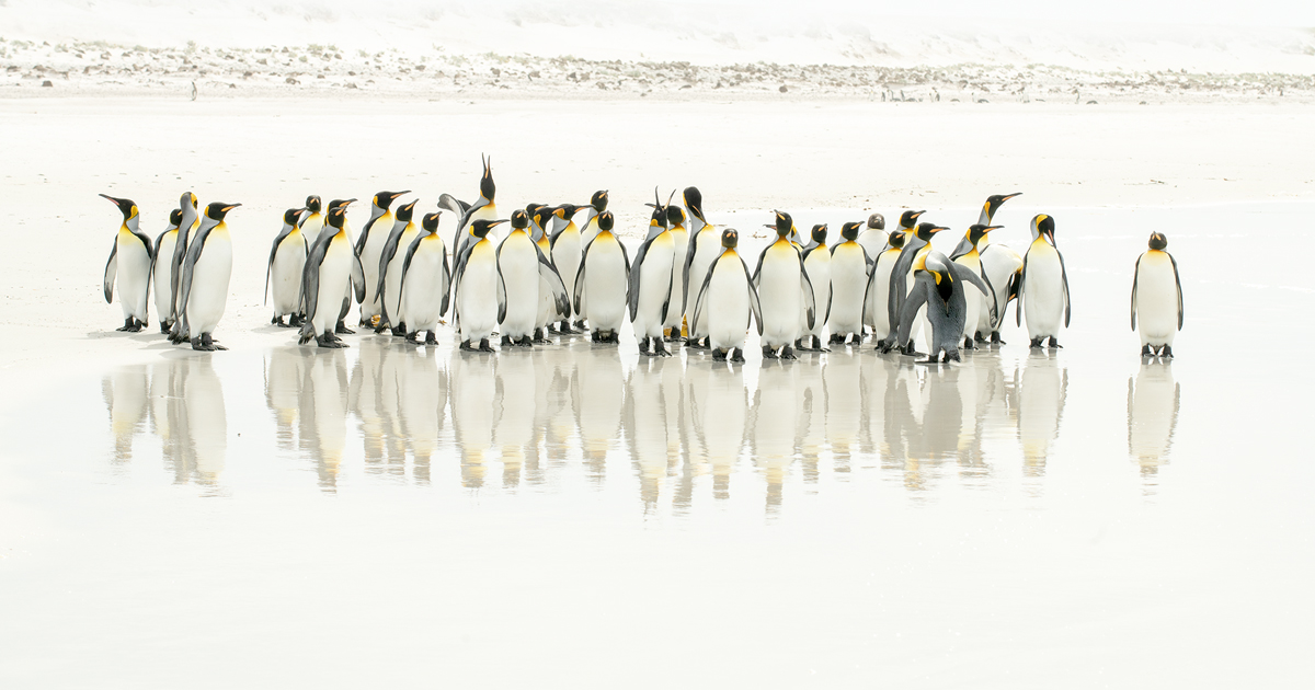 Brigitte Gillieaux, photographie